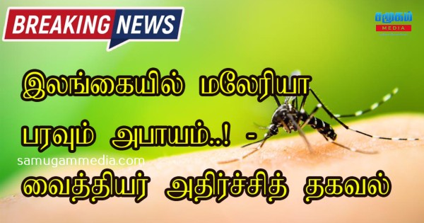 இலங்கையில் மலேரியா பரவும் அபாயம்..! - வைத்தியர் வெளியிட்ட அதிர்ச்சித் தகவல் samugammedia 